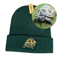 Alternative view of Beanie Hat