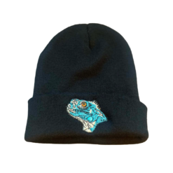 Beanie Hat